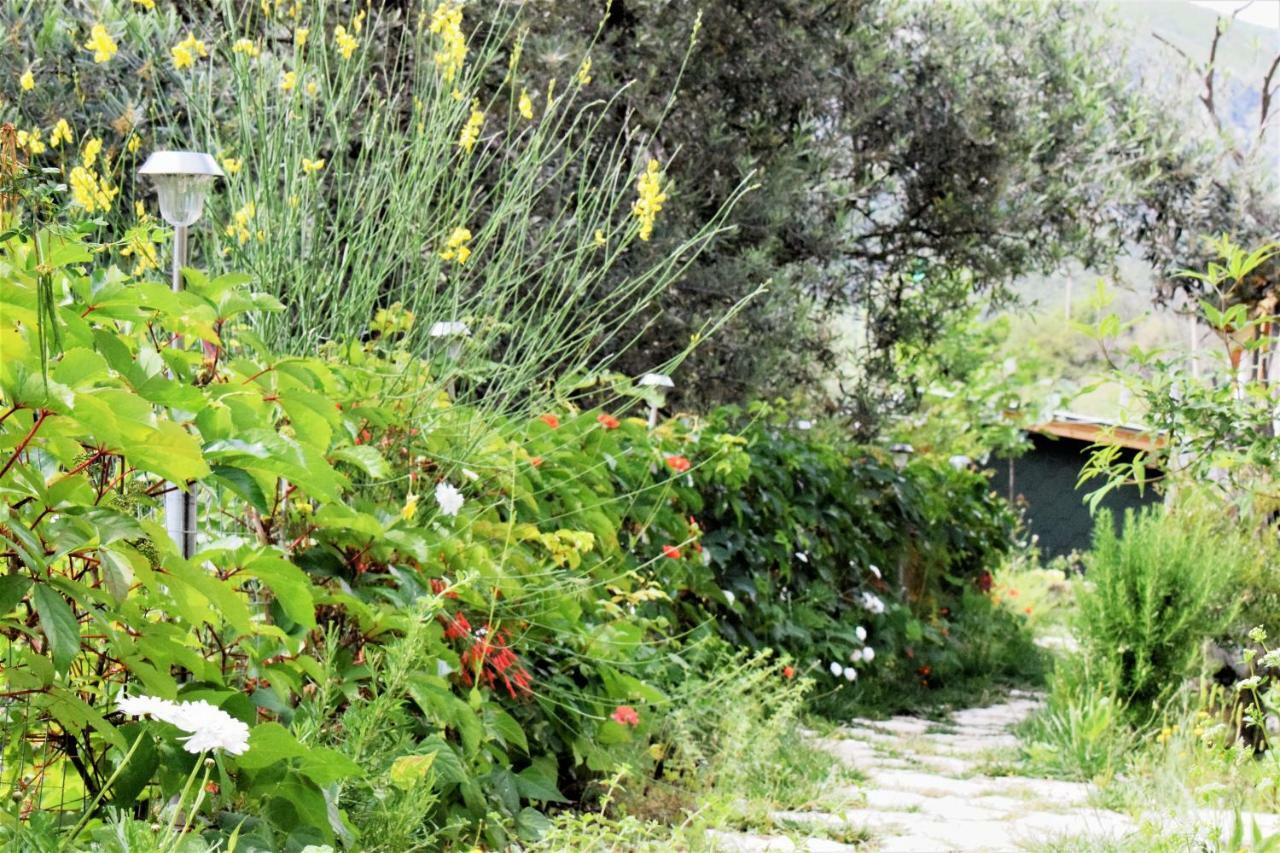 Scala Bungalows Himare Exterior photo